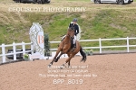 BPP_8019
