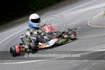 Hill Kart_2010-44