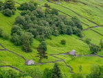 Yorkshire13