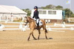 SBM_002591