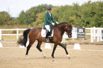 SBM_009649