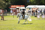 SBM_13551