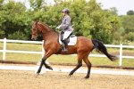 SBM_005252