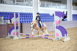SBM_000648