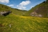 Cressbrook Dale (04)