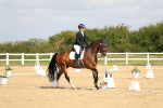SBM_015650