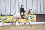 SBM_004503