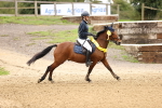 J17 - Junior Pony 80cm Championship portfolio