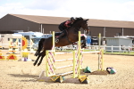 SBM_004397