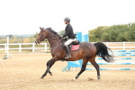 SBM_023219