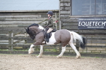 SBM_007994