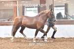 BPP_0521
