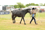 SBM_04264