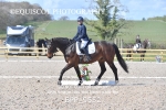BPP_9552