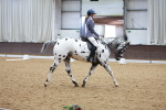 SBM_000703