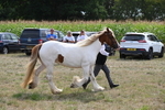 WJ6_6585