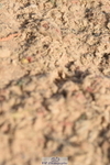 230915A-103616-00185