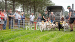 Guernsey Agricultural Show 2021-319
