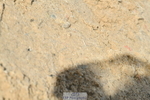 251004A-120314-00875