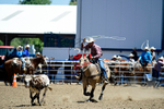 3HRodeo8-11-25_PRCASteer_03308_