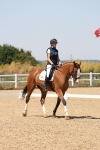 SBM_004964