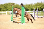 SBM_000701