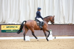 SBM_005911
