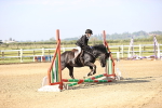 SBM_000087