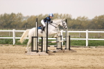 SBM_002646