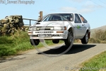 HAMILTONS FOLLY 60