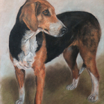 Foxhound