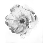 170627-untitled0001-2-4891