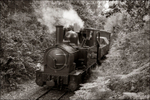 WLLR The Earl with goods wagons