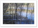 Screen ♦ MILL DAM