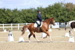 SBM_013874