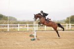 SBM_024194