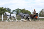SBM_001194