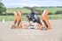 BPP_8822