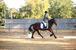 SBM_18295