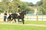 SBM_68248