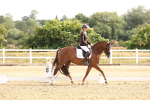 SBM_005228