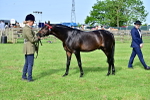 SBM_00946
