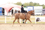 SBM_16392