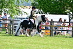 SBM_11735