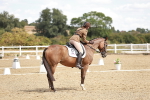 SBM_009813