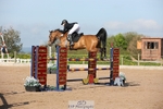Cls 32 Young Horse 6yr old portfolio