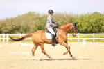 SBM_008431