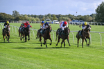 080926-Race 4-Kings Merchant-2494