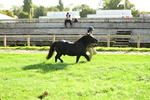 SBM_15888