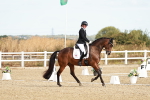 SBM_008666